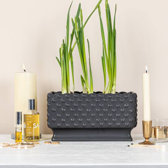 Hello Honey® 11" Black Ceramic Hobnail Planter with Scalloped Edge